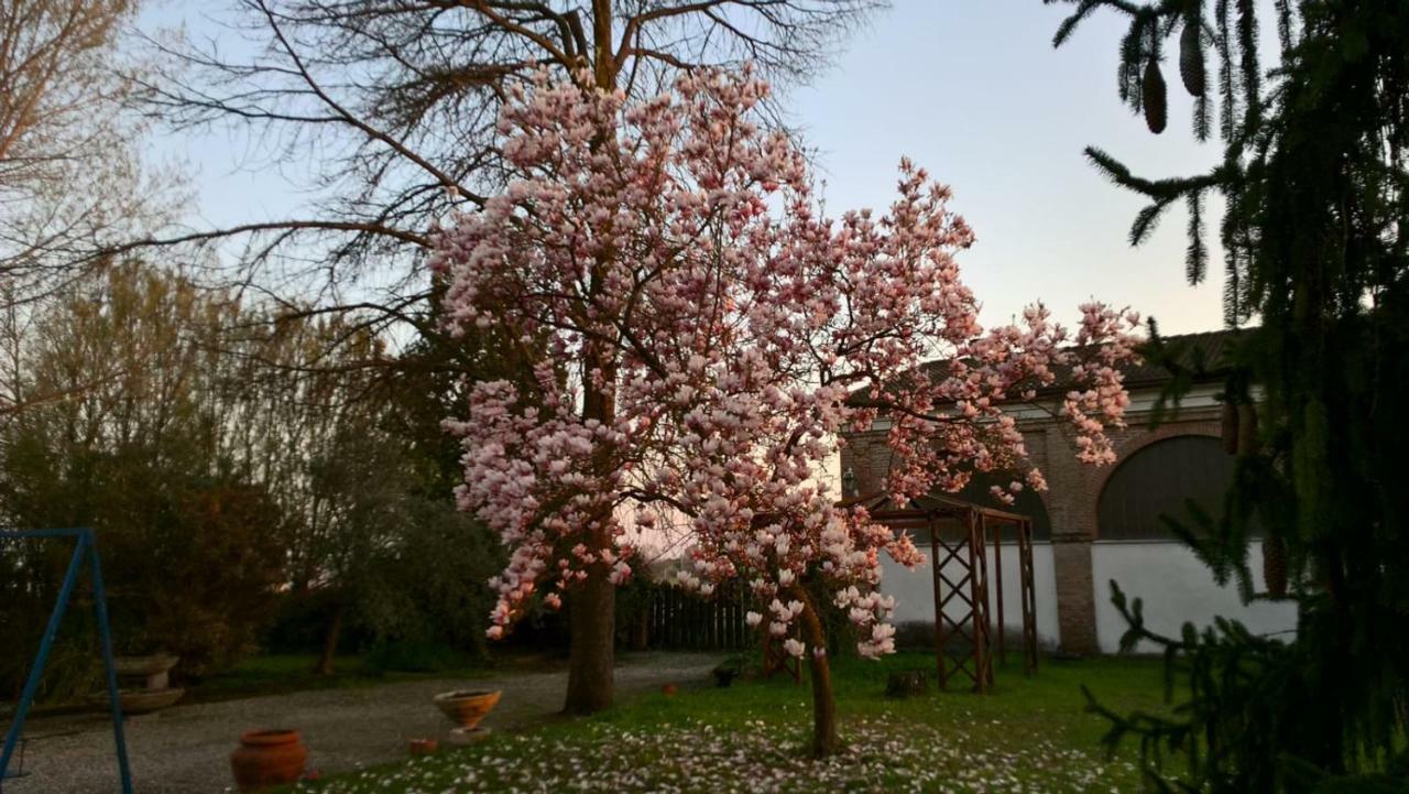 Agriturismo Cipolli E Podo Corte Carlini Mantua Exterior foto